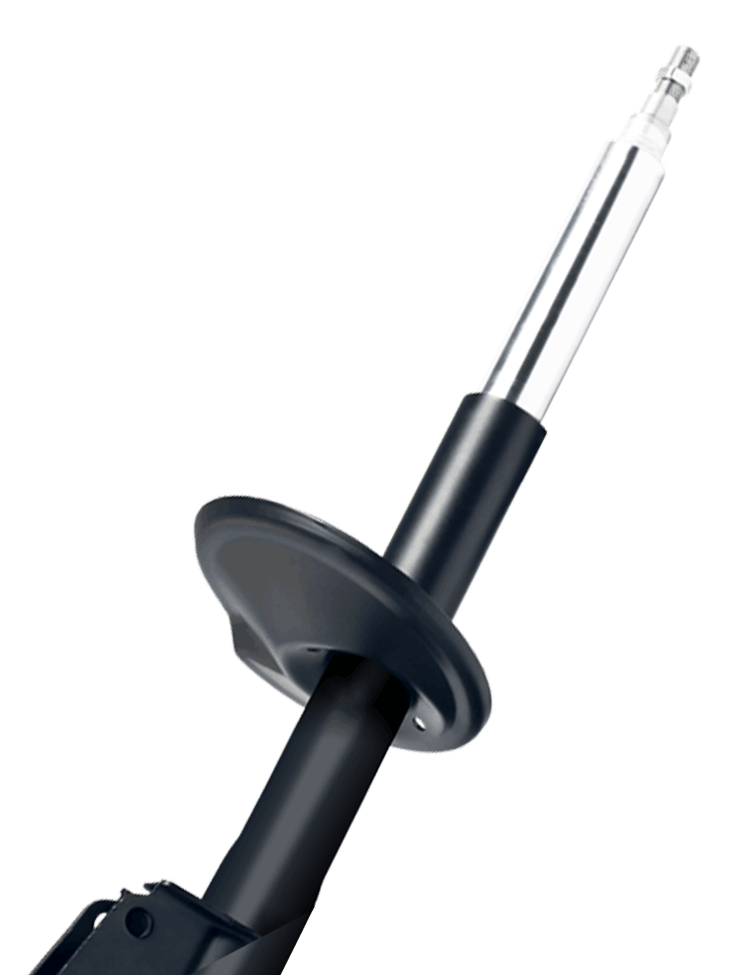 RBI Auto Shock Absorber